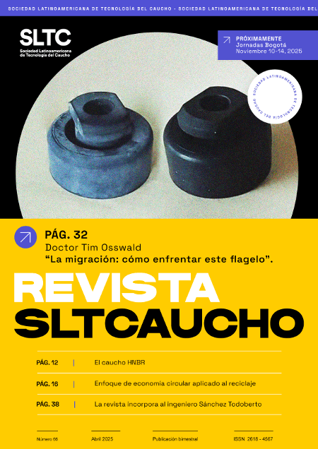 Edición N° 66