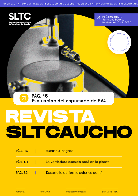 Edición N° 67